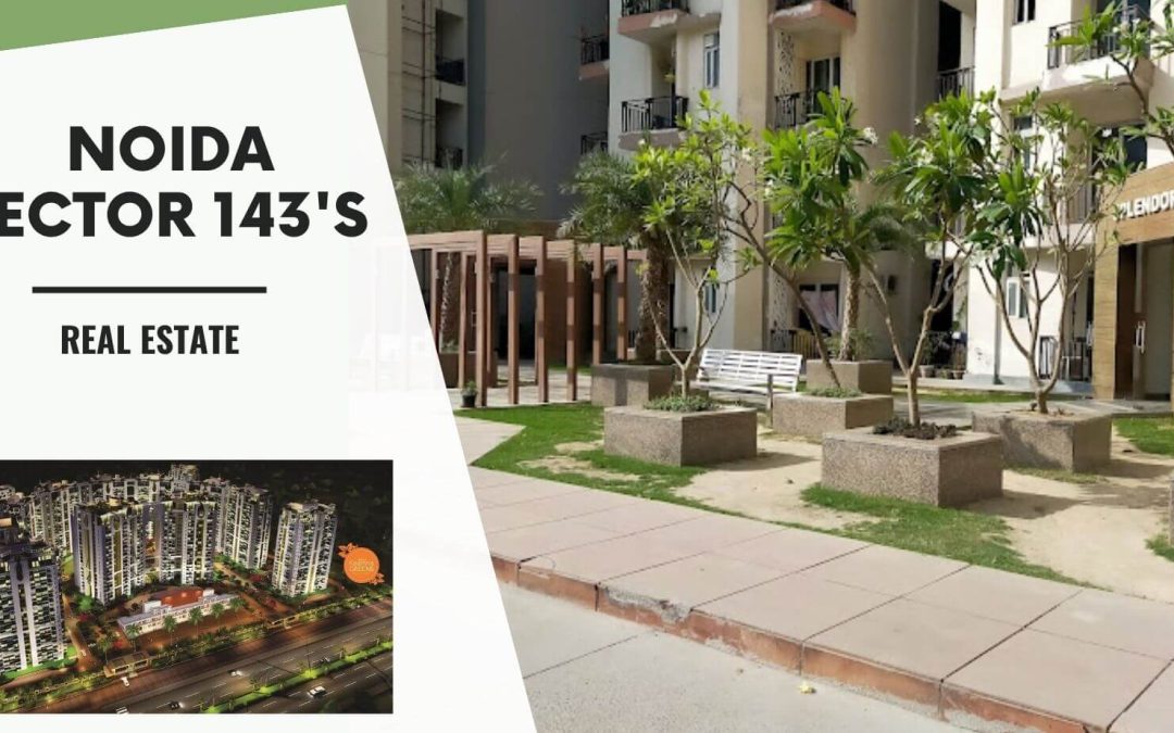 Noida Sector 143's Real Estate